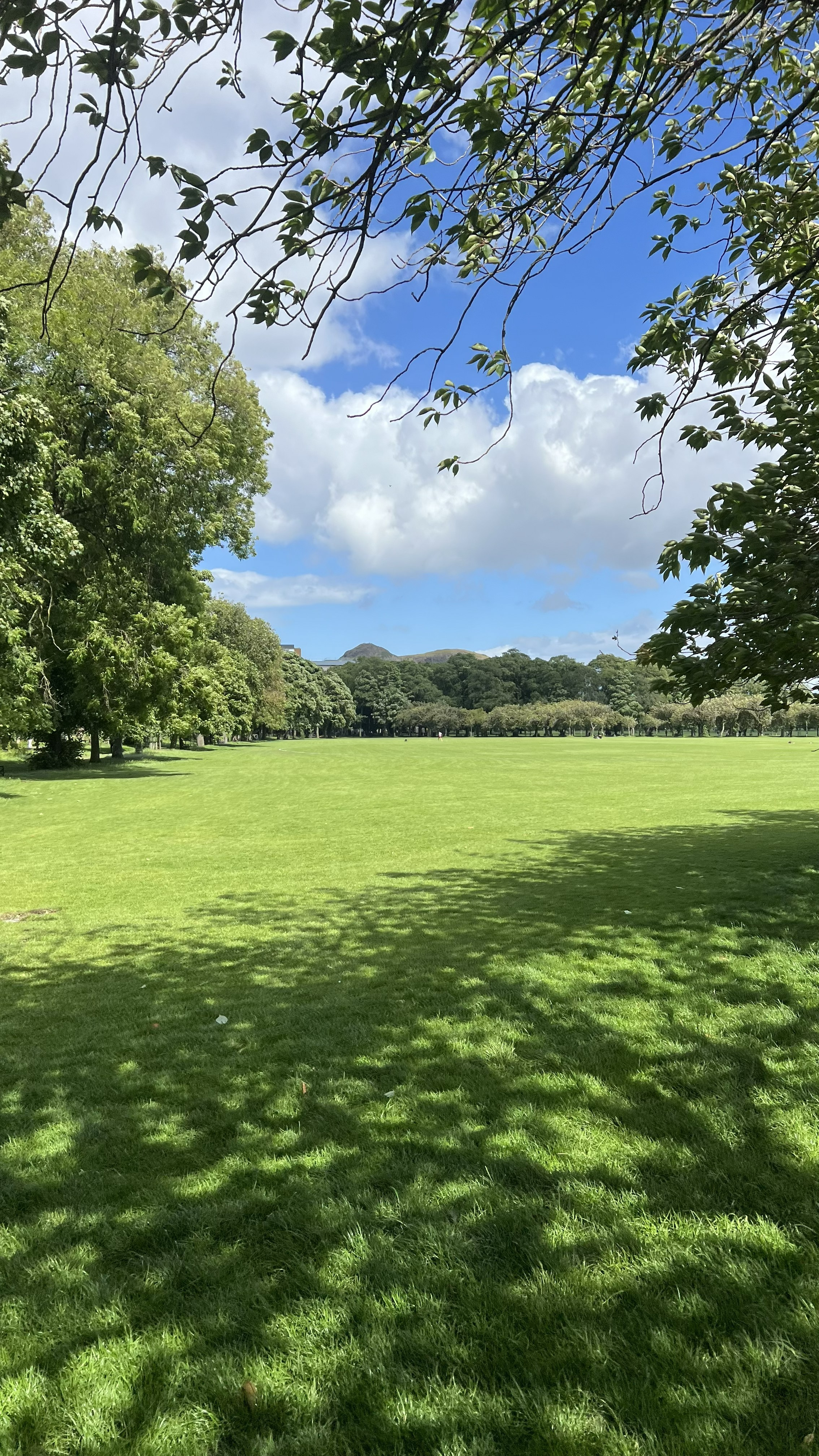 The Meadows en Edinburgh, parque verde con vistas a la ciudad al fondo en un día despejado